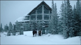 The Last of Us (Hindi) - Season 02 Episode 02